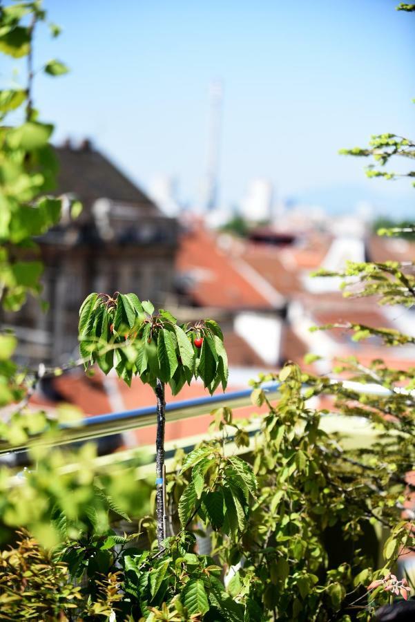Zagreb Rooftops מראה חיצוני תמונה